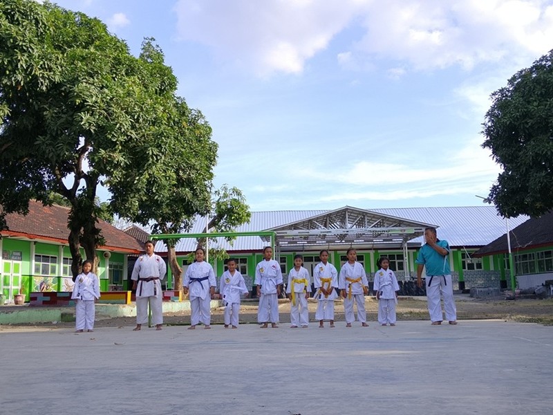 EKTRAKURIKULER KARATE